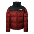 GIUBBINO THE NORTH FACE UOMO